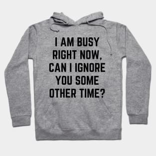 I am busy right now, can I ignore you some other time Hoodie